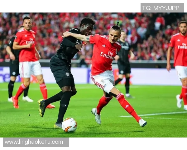 鲁伊科斯塔透露本菲卡不签迪巴拉全力追回菲利克斯