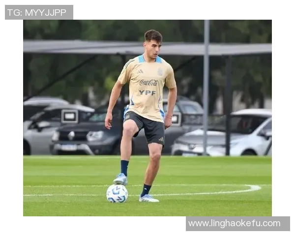 切尔西迅速召回安塞尔米诺德天空确认这一重要消息